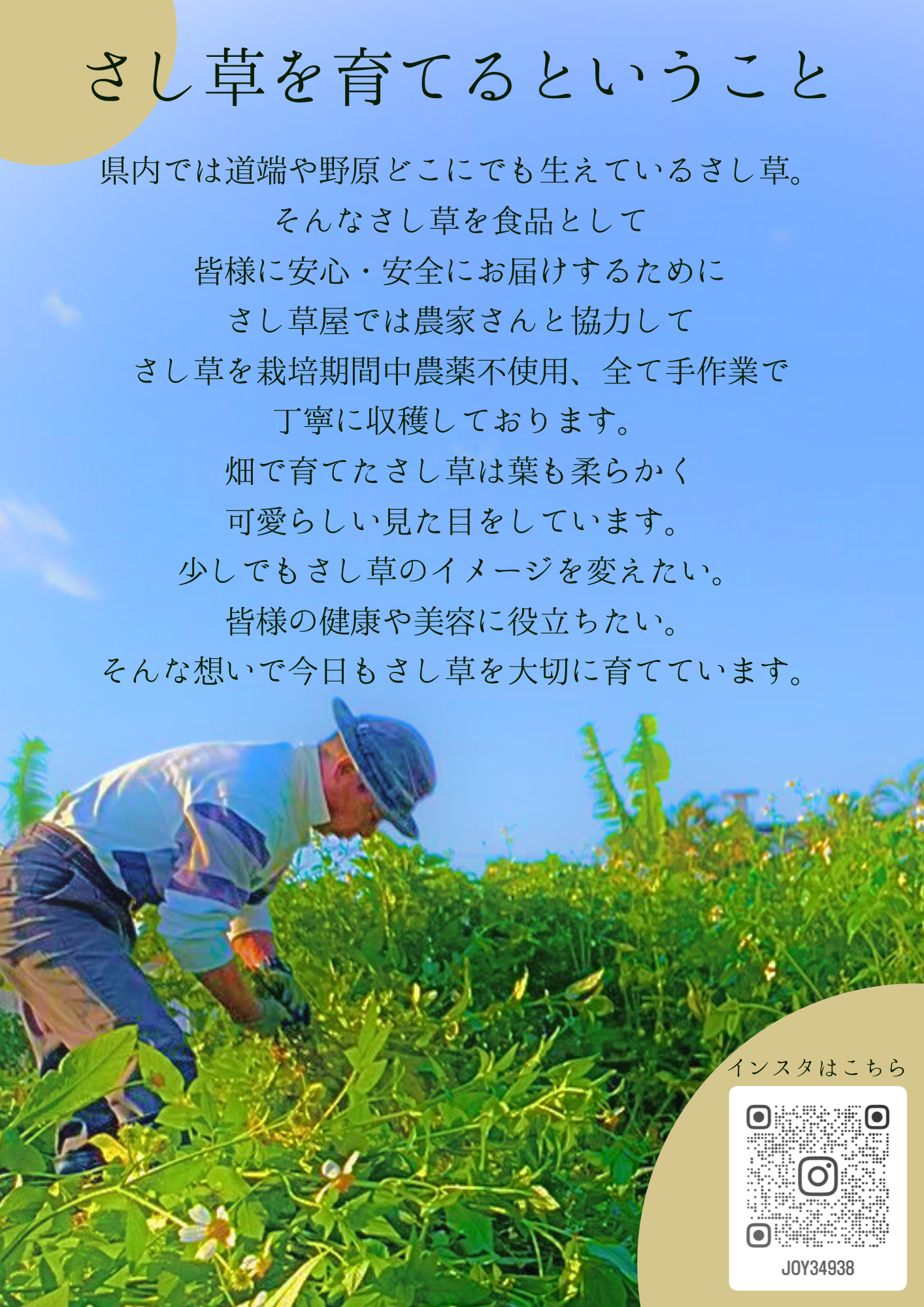 さし草花茶