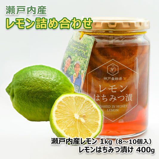 〈産直〉瀬戸内産レモン詰め合わせ