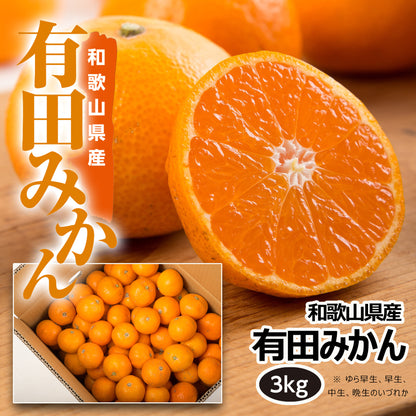 〈産直〉有田みかん 3kg