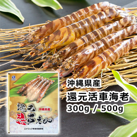 〈産直〉還元活車海老 300g / 500g