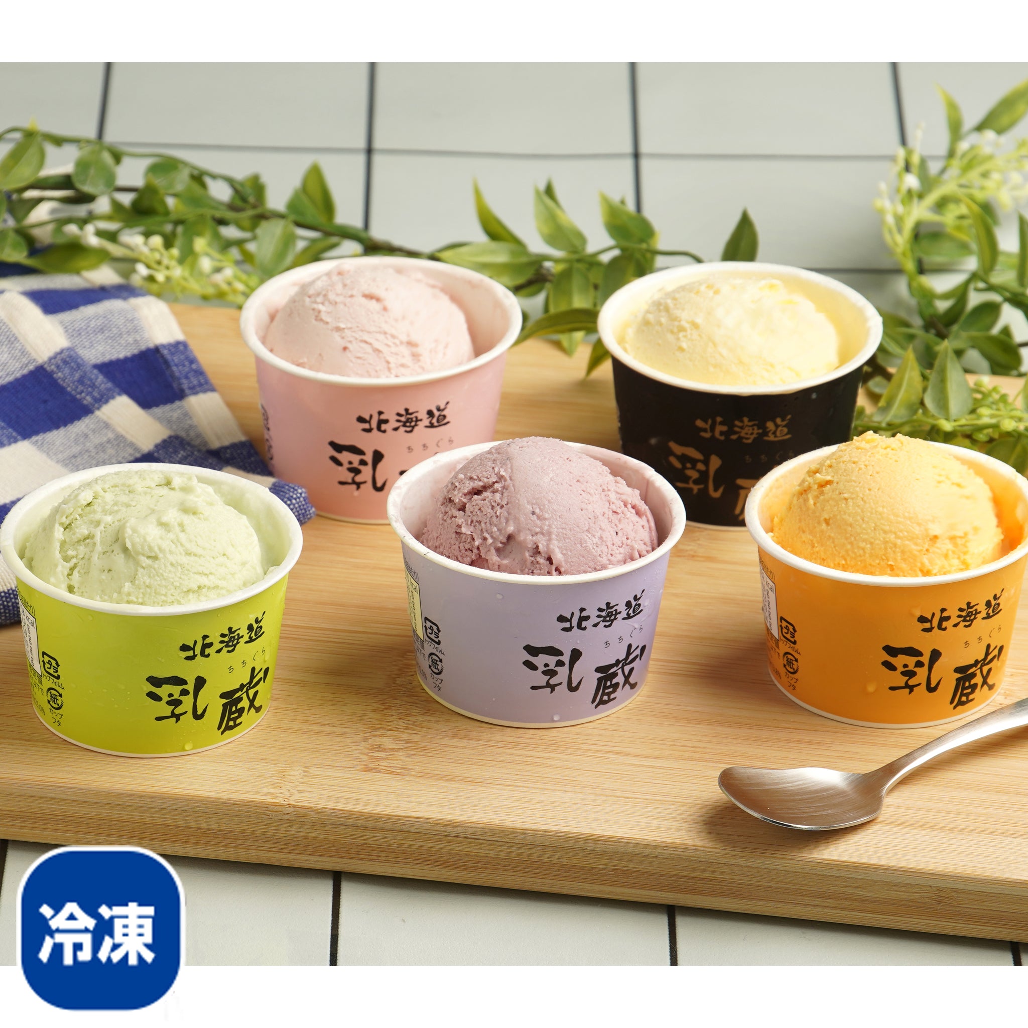 〈産直〉乳蔵 北海道アイスクリーム 5種 12個【冷凍】