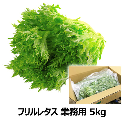 〈沖縄本島配送限定〉フリルレタス 業務用 5kg